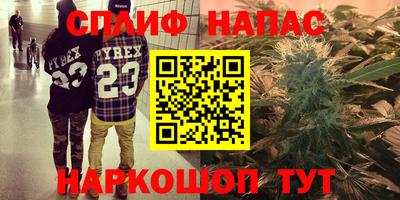 ГАЛЛЮЦИНОГЕННЫЕ ГРИБЫ Беслан